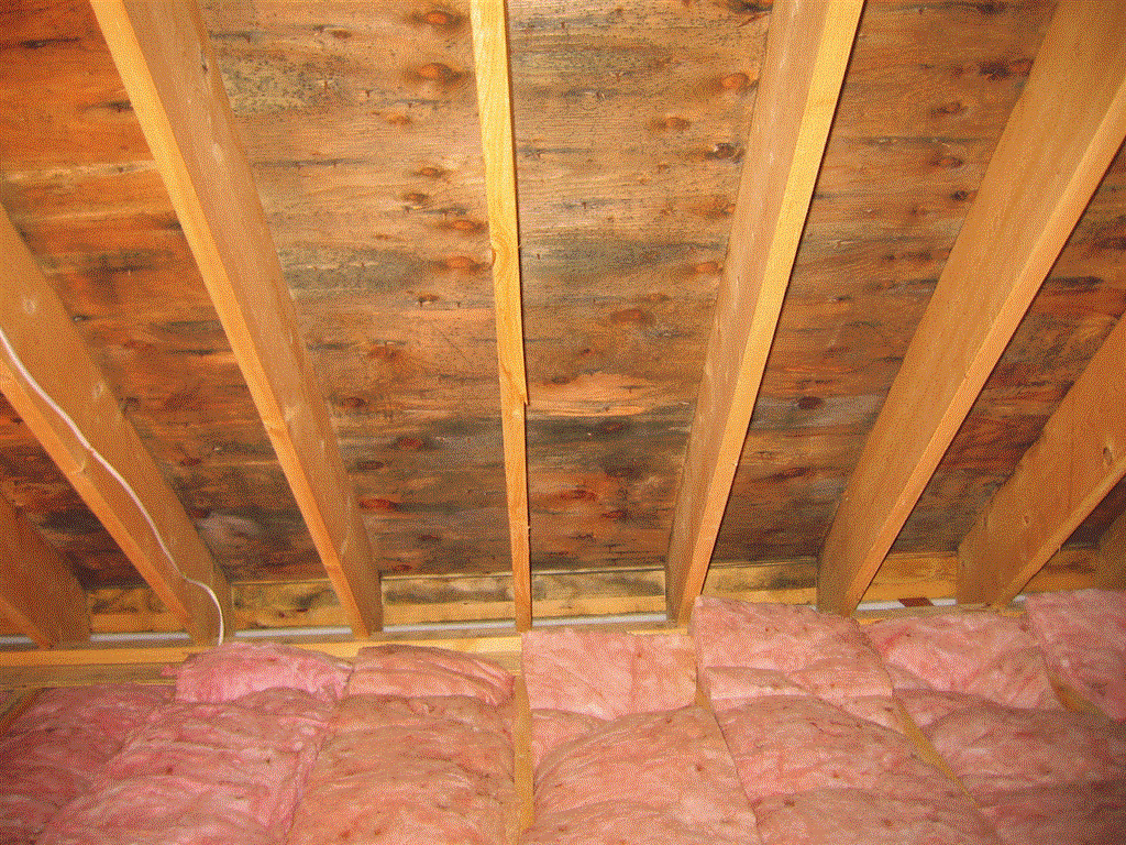 Attic Heat Insulation Kildare