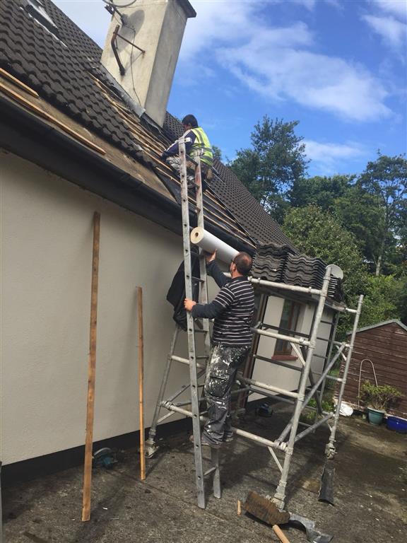 roof repairs in Kildare